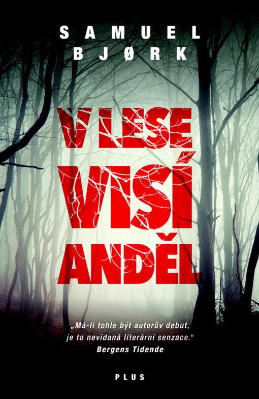 V lese visí anděl