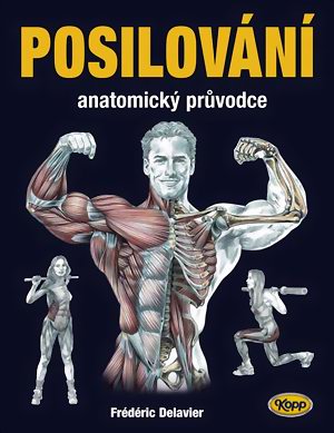 Posilování - anatomický průvodce