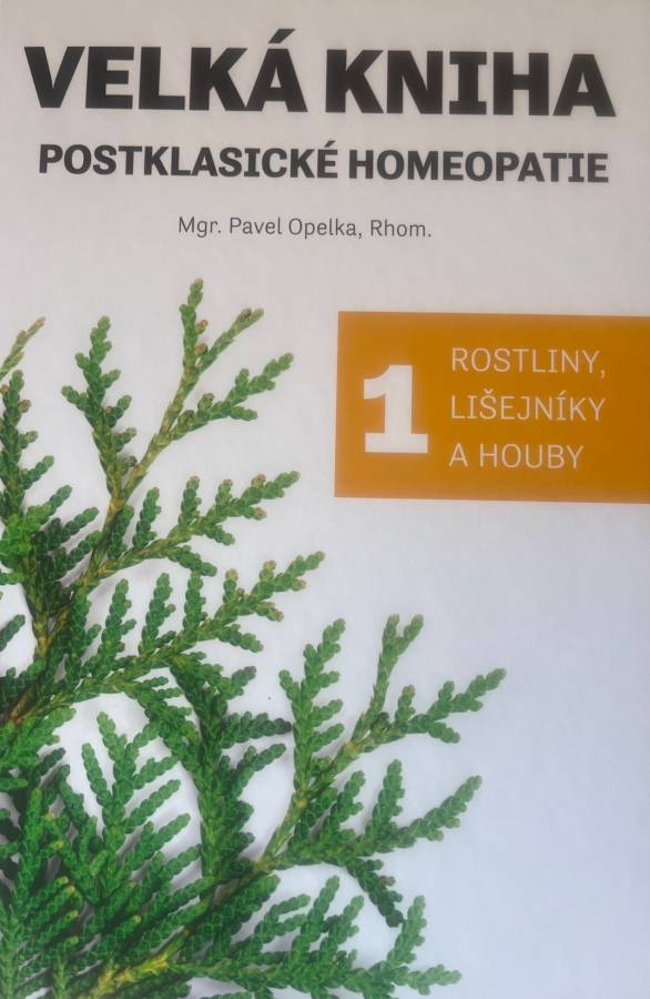 Velká kniha postklasické homeopatie