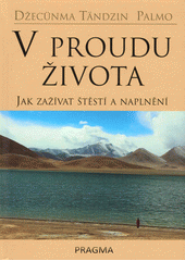 V proudu života: jak zažívat štěstí a naplnění