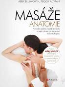 Masáže – anatomie