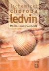 Ischemická choroba ledvin