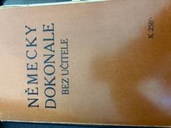 Německy dokonale bez učitele